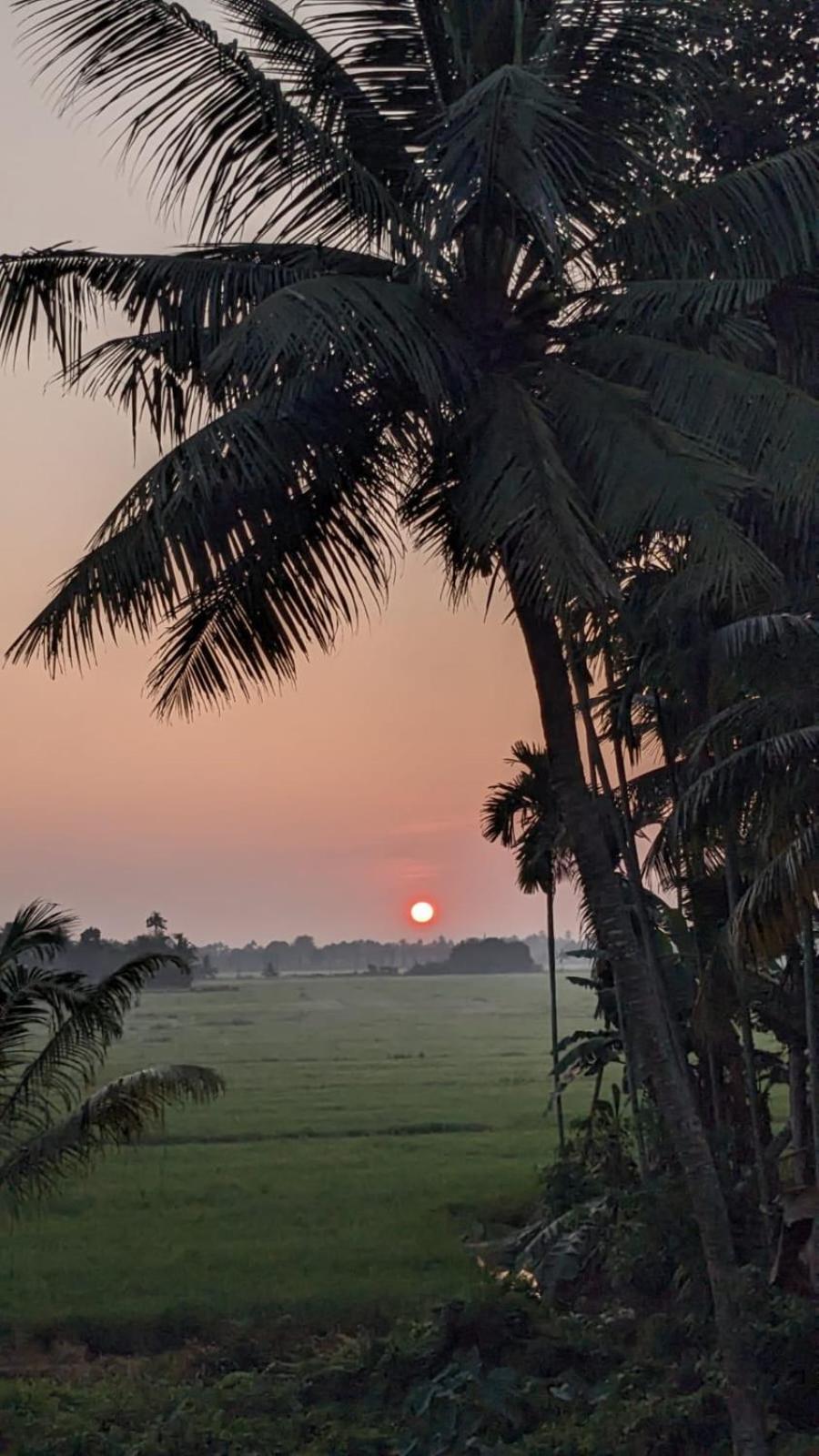 Paddy N Canal Homestay Alappuzha Экстерьер фото